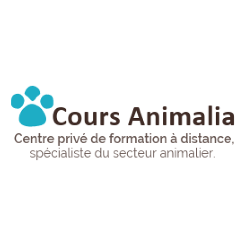 Cours animalia CYWYC Clients